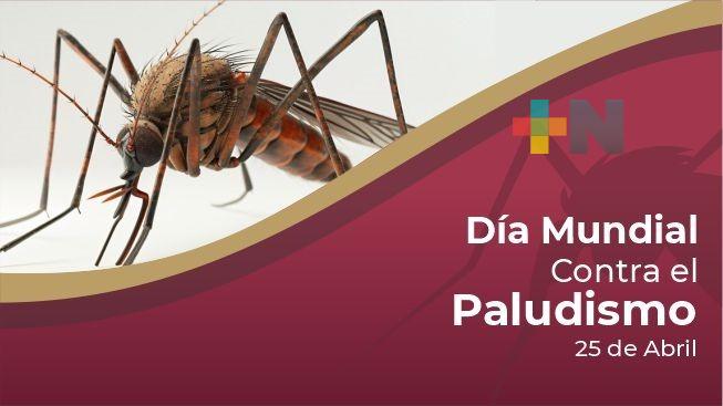 Día mundial contra el paludismo; México lo mantiene bajo control pero debe persistir prevención