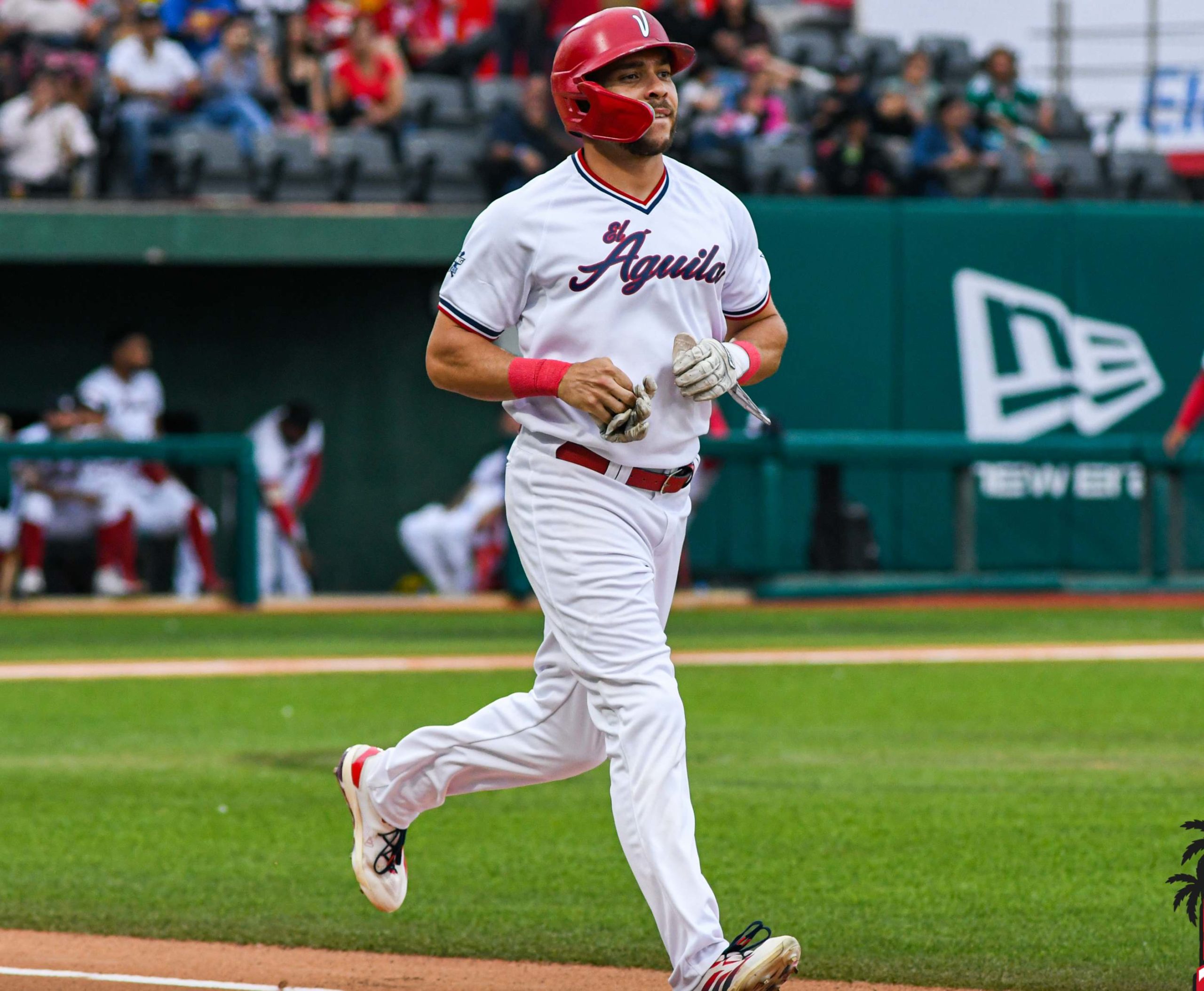 El Águila anuncia Bowens y Rosier
