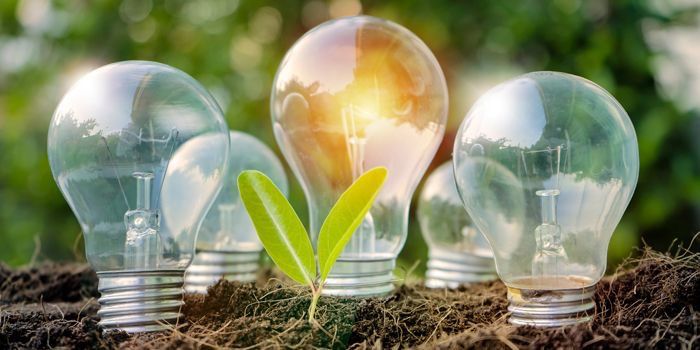 Energías limpias se consolidan como motor de crecimiento económico global