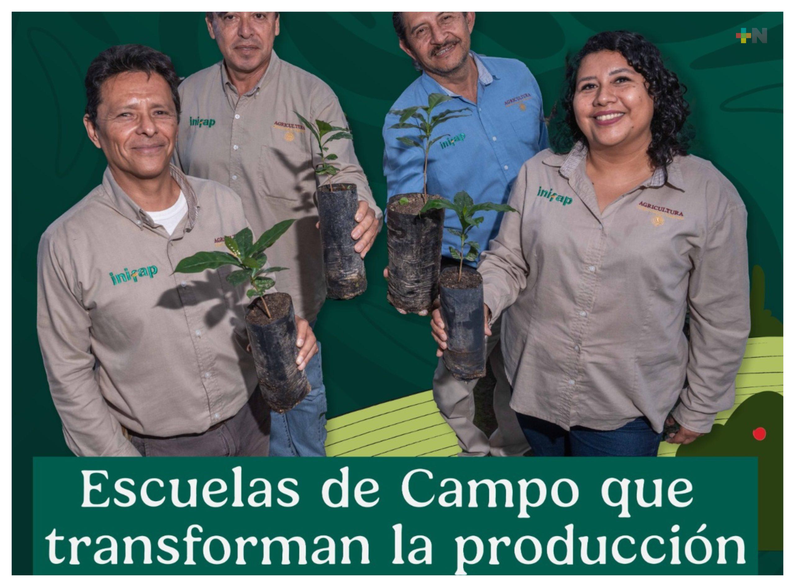 Escuelas de Campo impulsan alza de hasta 25% en producción de maíz en México