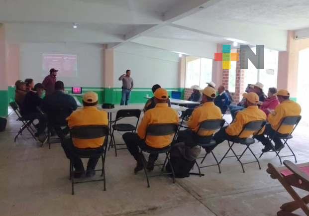 Impulsan manejo sustentable de recursos forestales en Zacualpan