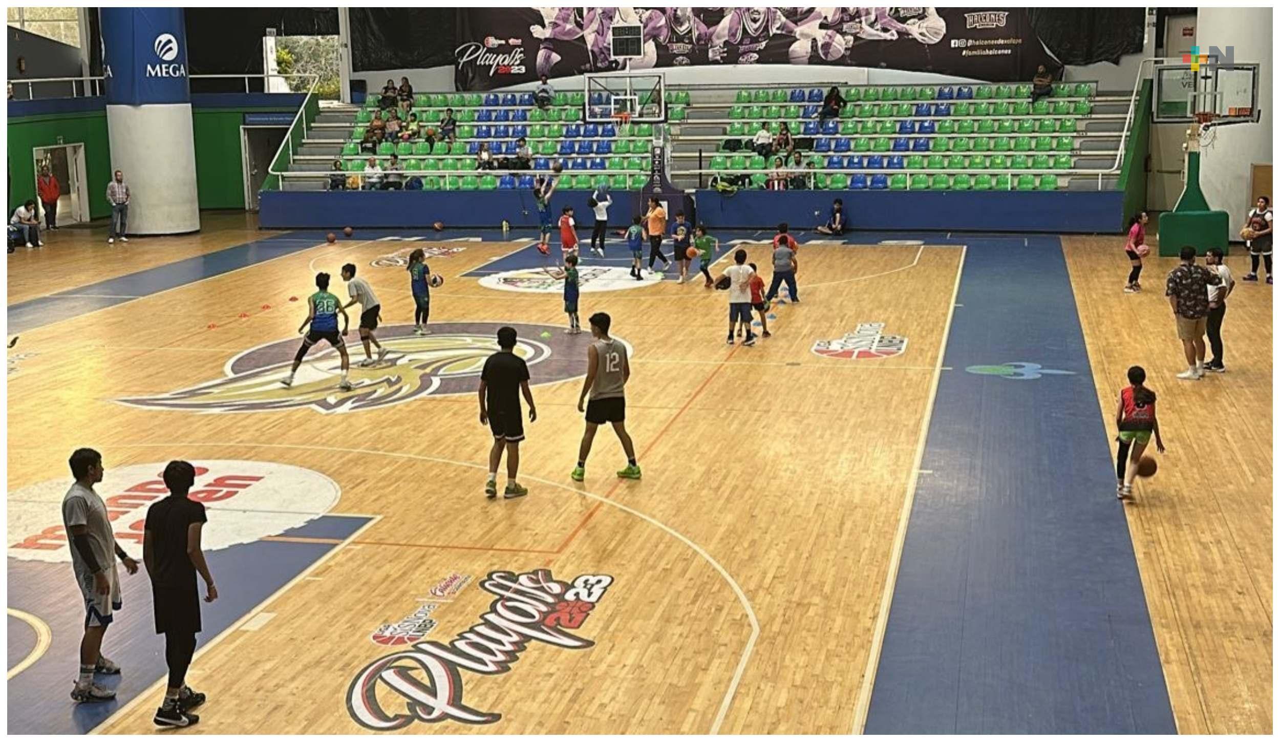 Trabajo constante de formación en academia de Halcones UV de baloncesto