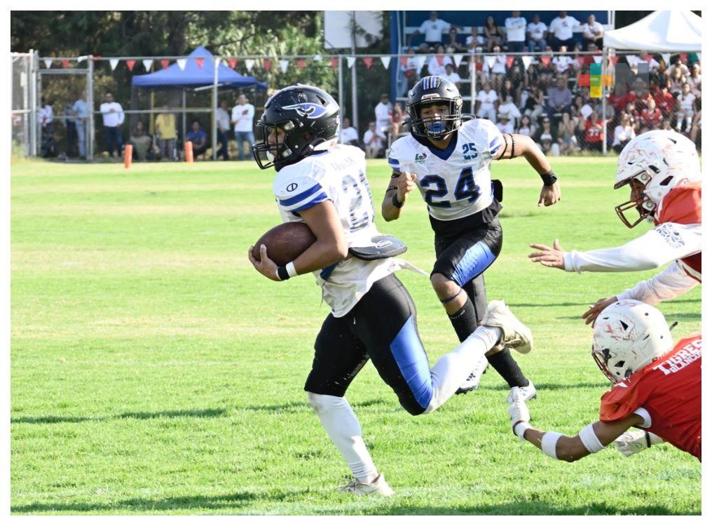 Halcones UV de futbol americano prepara inicio de temporada en ONEFA