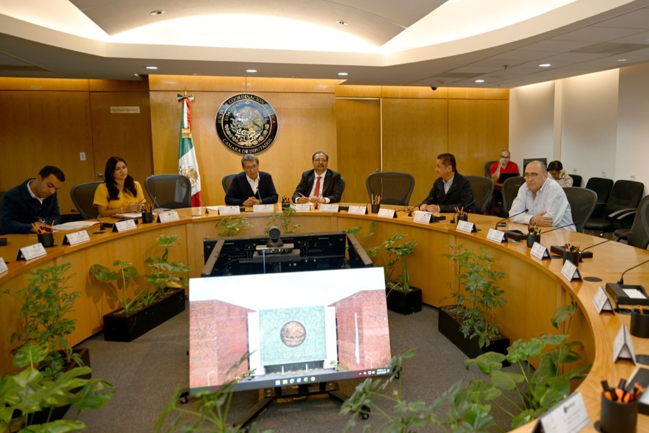 Cámara de Diputados recibe quintetas de aspirantes a consejerías vacantes en el INE