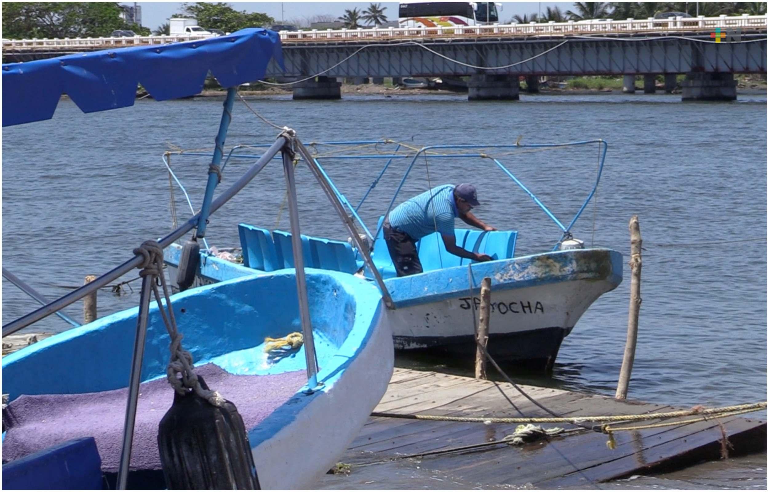 Aseguran pescadores de Boca del Río que sus productos no están contaminados