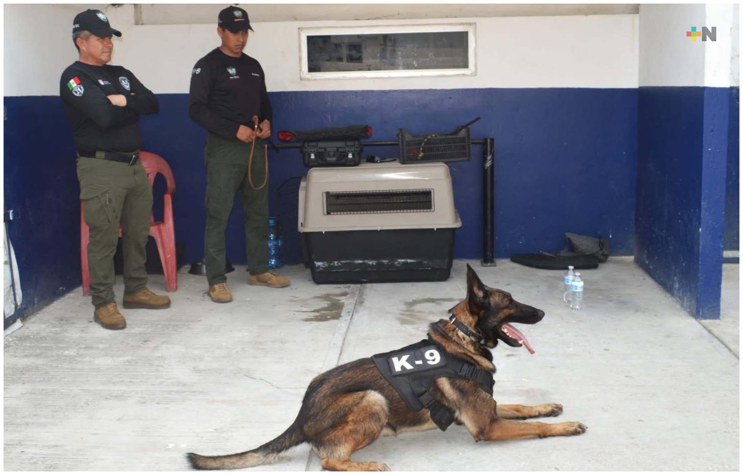 Policía de Coatzacoalcos decomisa vapeadores y sustancias ilícitas en Expo Feria