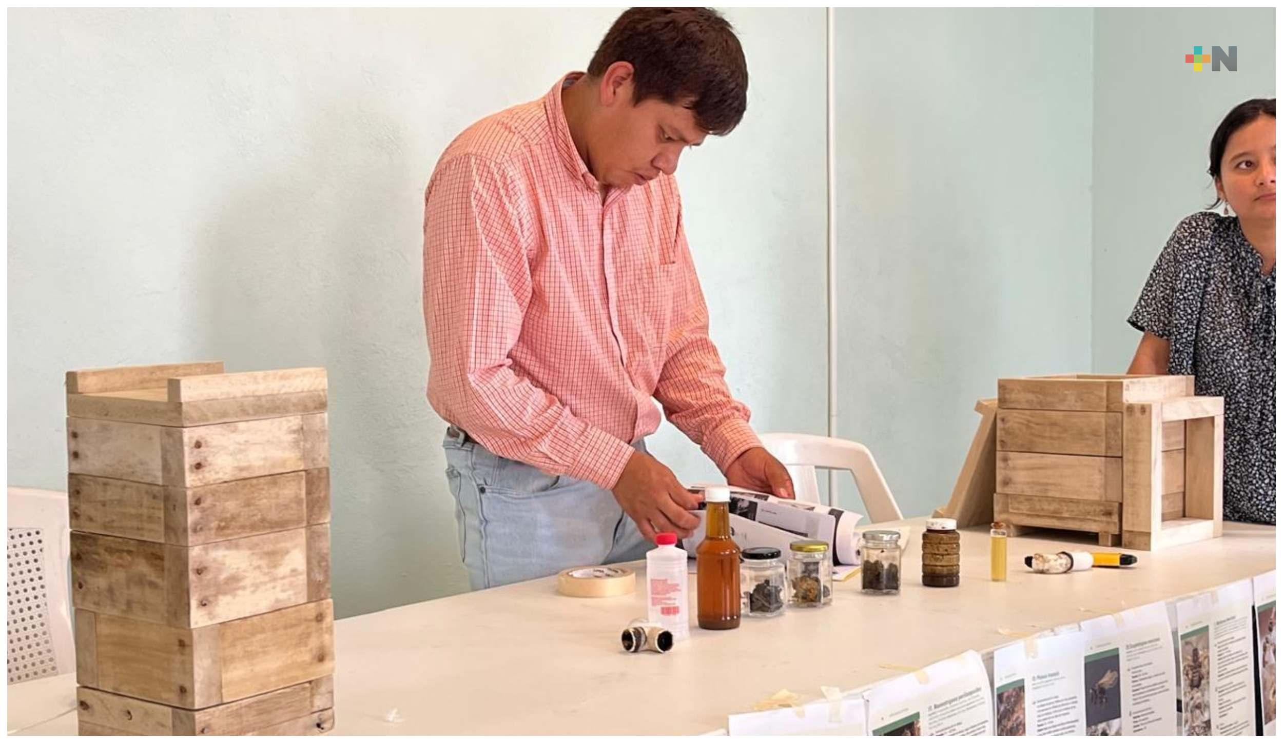 Sedarpa impulsa proyecto para fortalecer la apicultura en Veracruz
