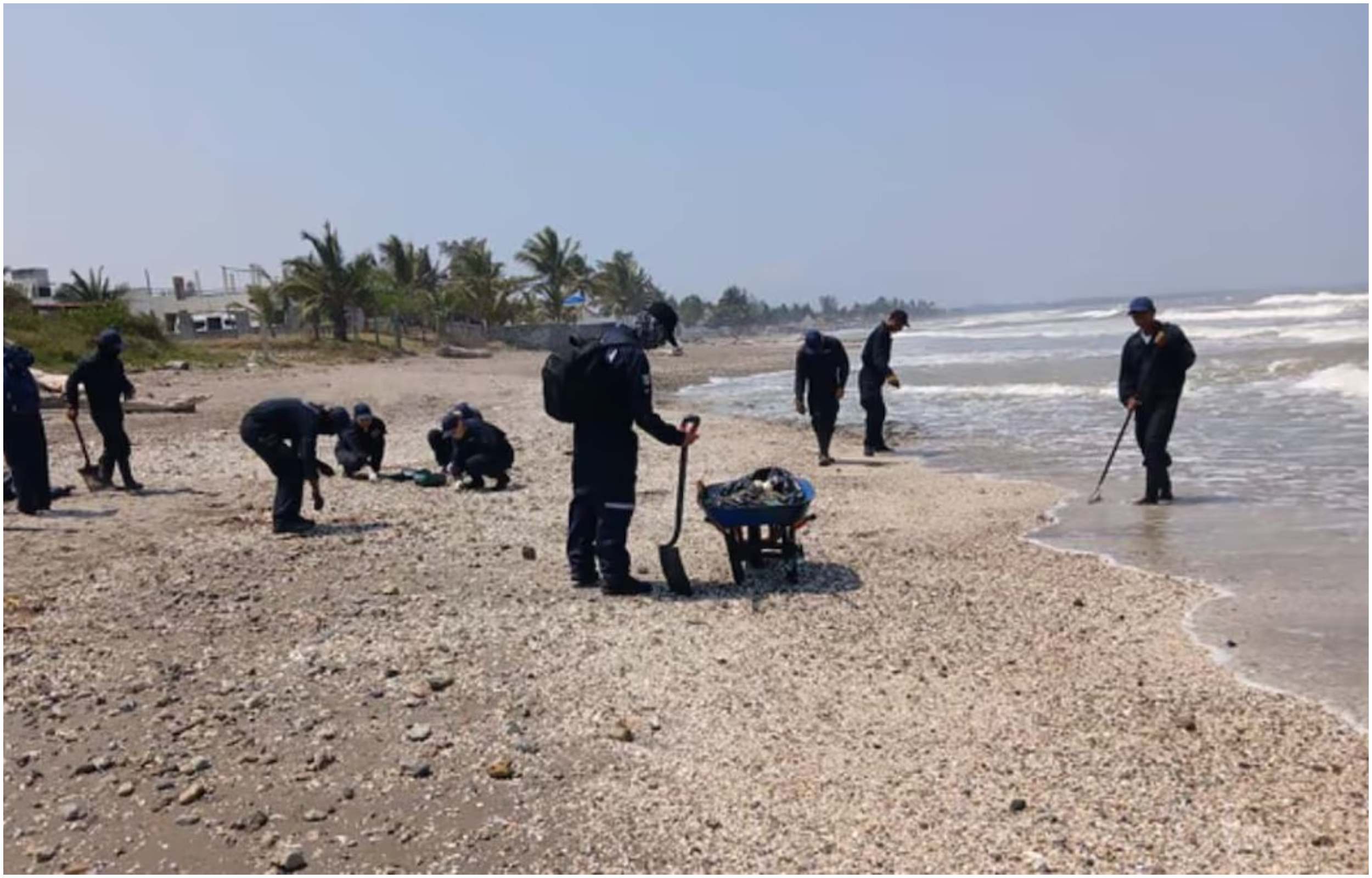 Gobierno de México coordina acciones científicas y ambientales para la protección de ecosistemas y comunidades