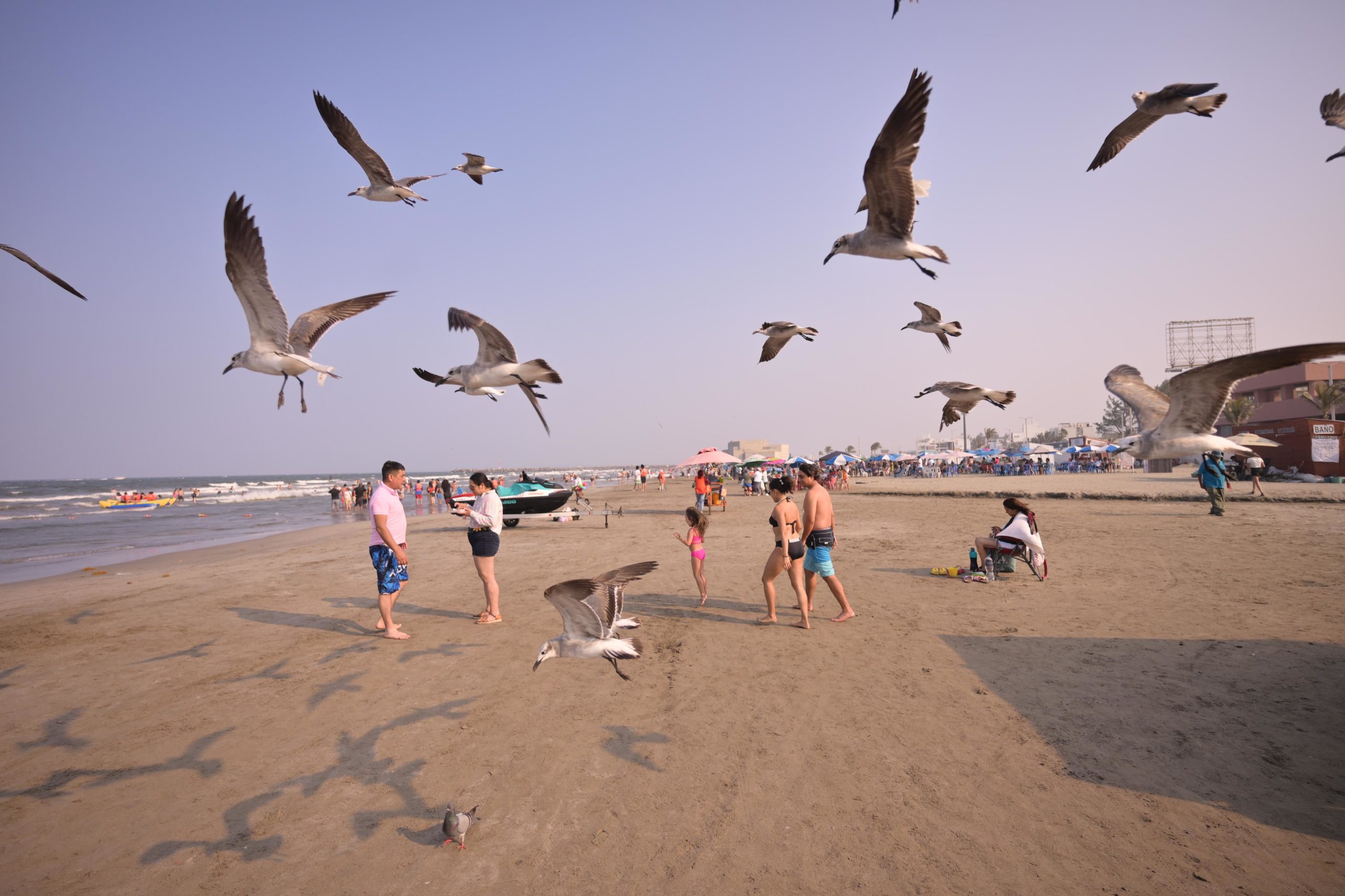 Familias destacan condiciones seguras y mar tranquilo en Veracruz–Boca del Río
