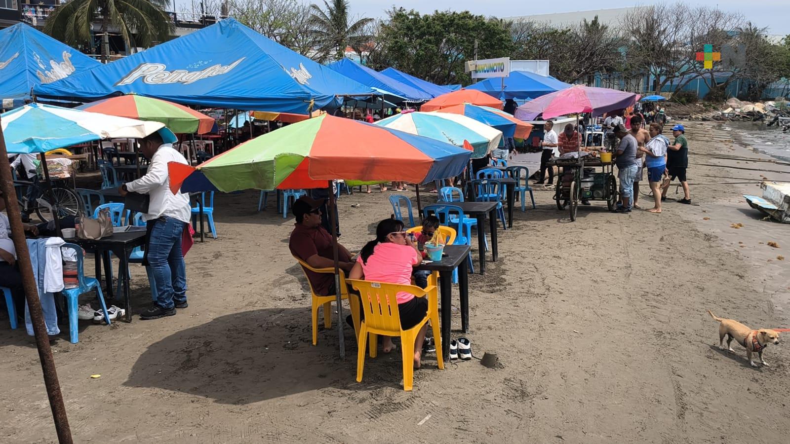 Palaperos de Villa del Mar invitan a constatar que playa está limpia