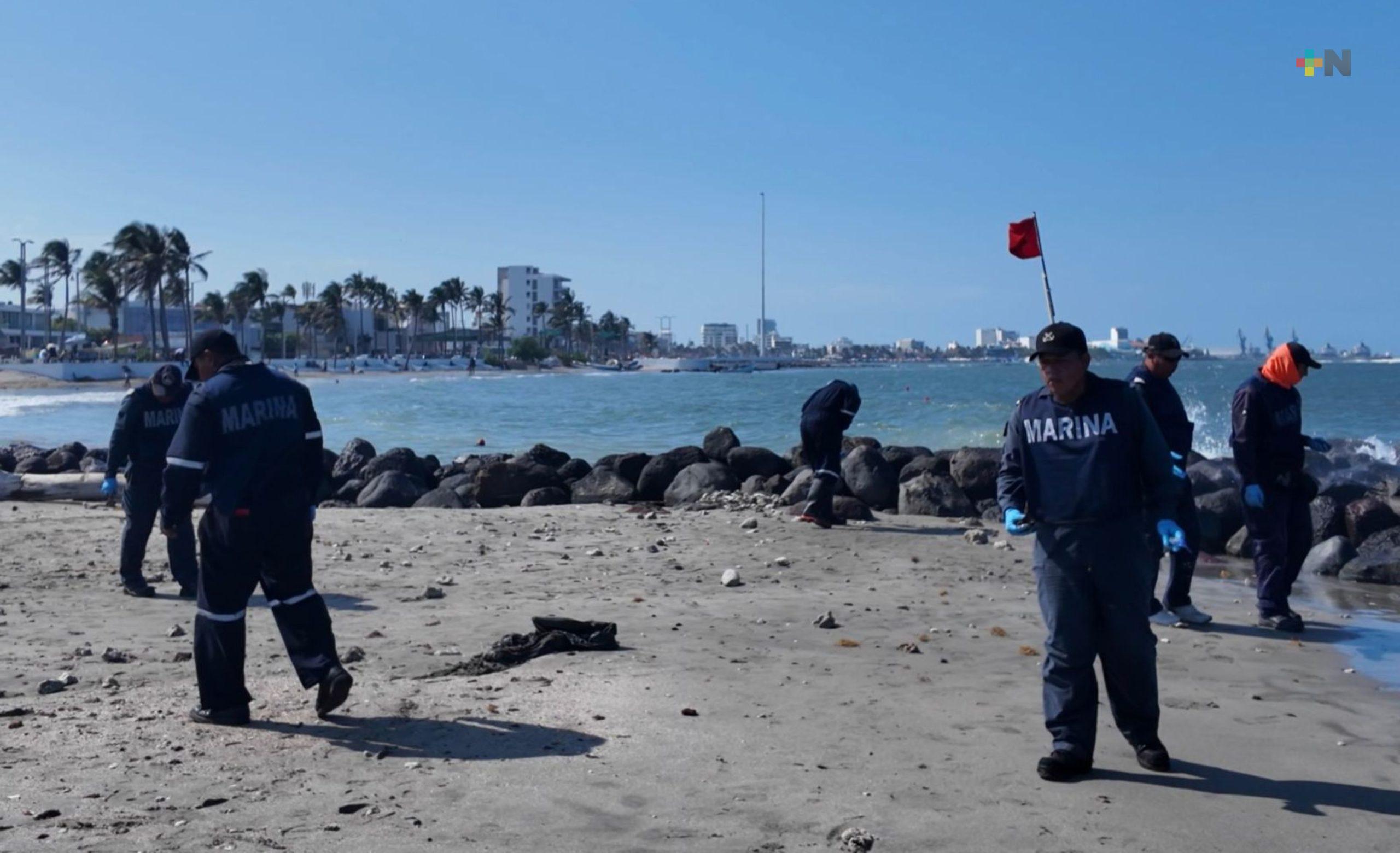 Playas de Veracruz lucen limpias y en óptimas condiciones