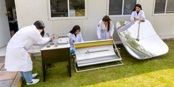 Politécnicos convierten el lirio acuático en energía