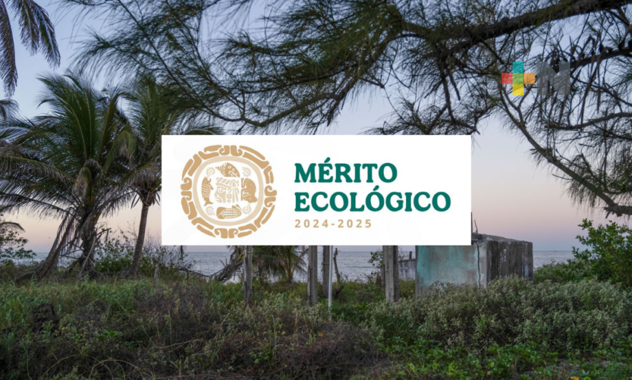 Conoce a los ganadores del Premio al Mérito Ecológico 2024