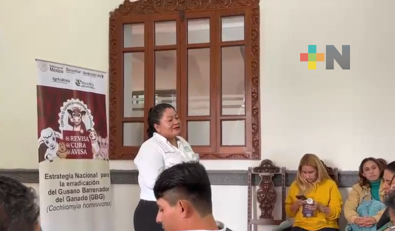 Refuerzan acciones de prevención contra gusano barrenador en Fortín