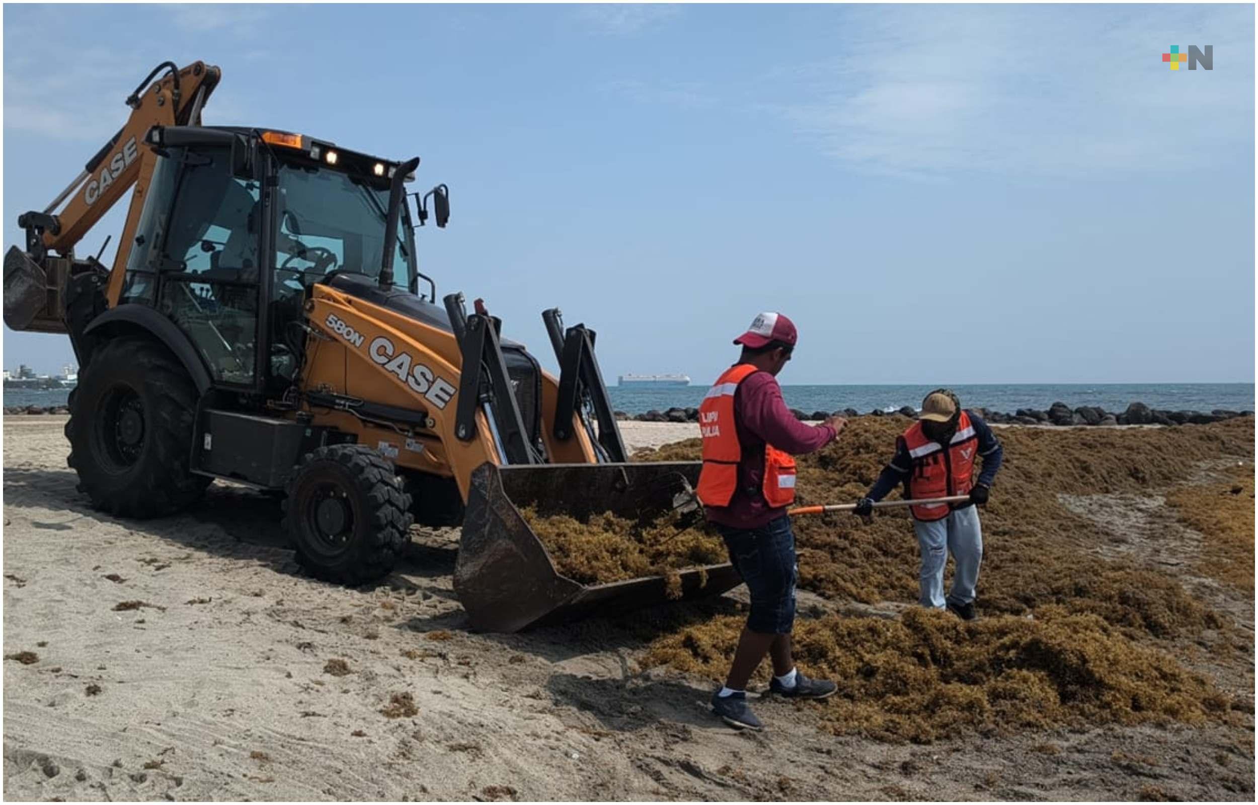 Trabajadores municipales retiran sargazo de playa Martí