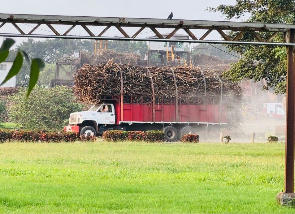 Zafra azucarera en el Papaloapan mantiene buen ritmo y fortalece expectativas económicas