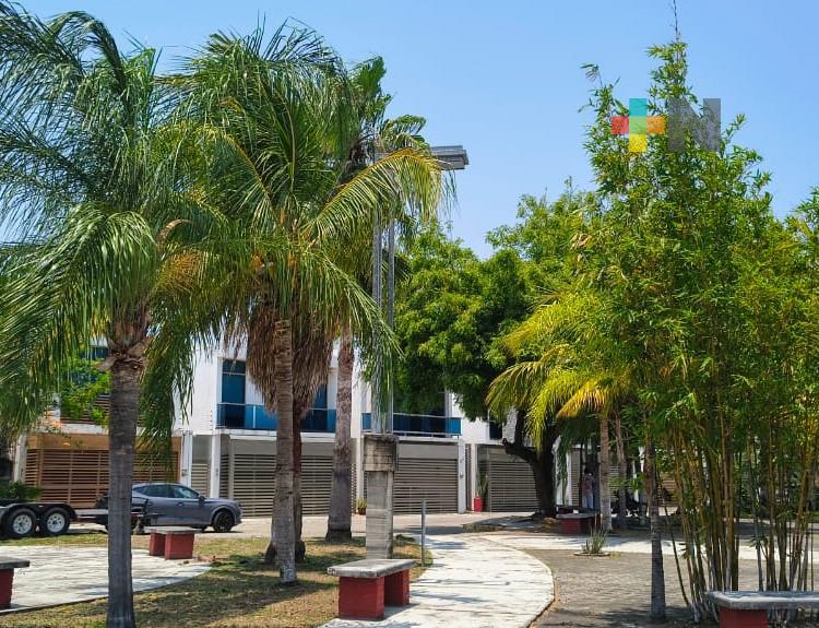 Árboles, mitigadores de la radiación solar