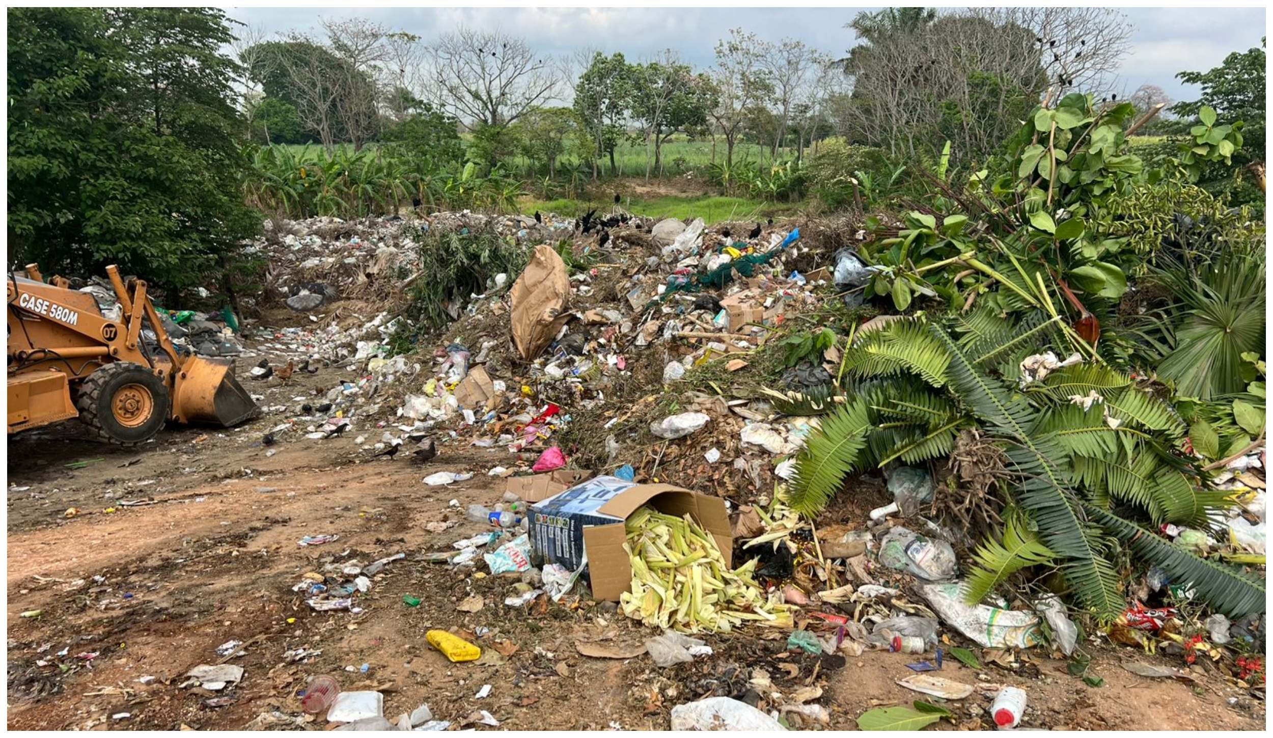 Tlacojalpan proyecta reubicación de su basurero municipal