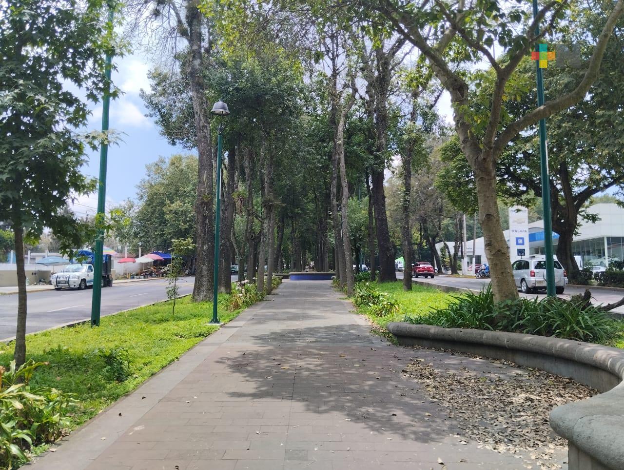 Temperatura elevada en el estado de Veracruz; persisten lluvias en regiones montañosas