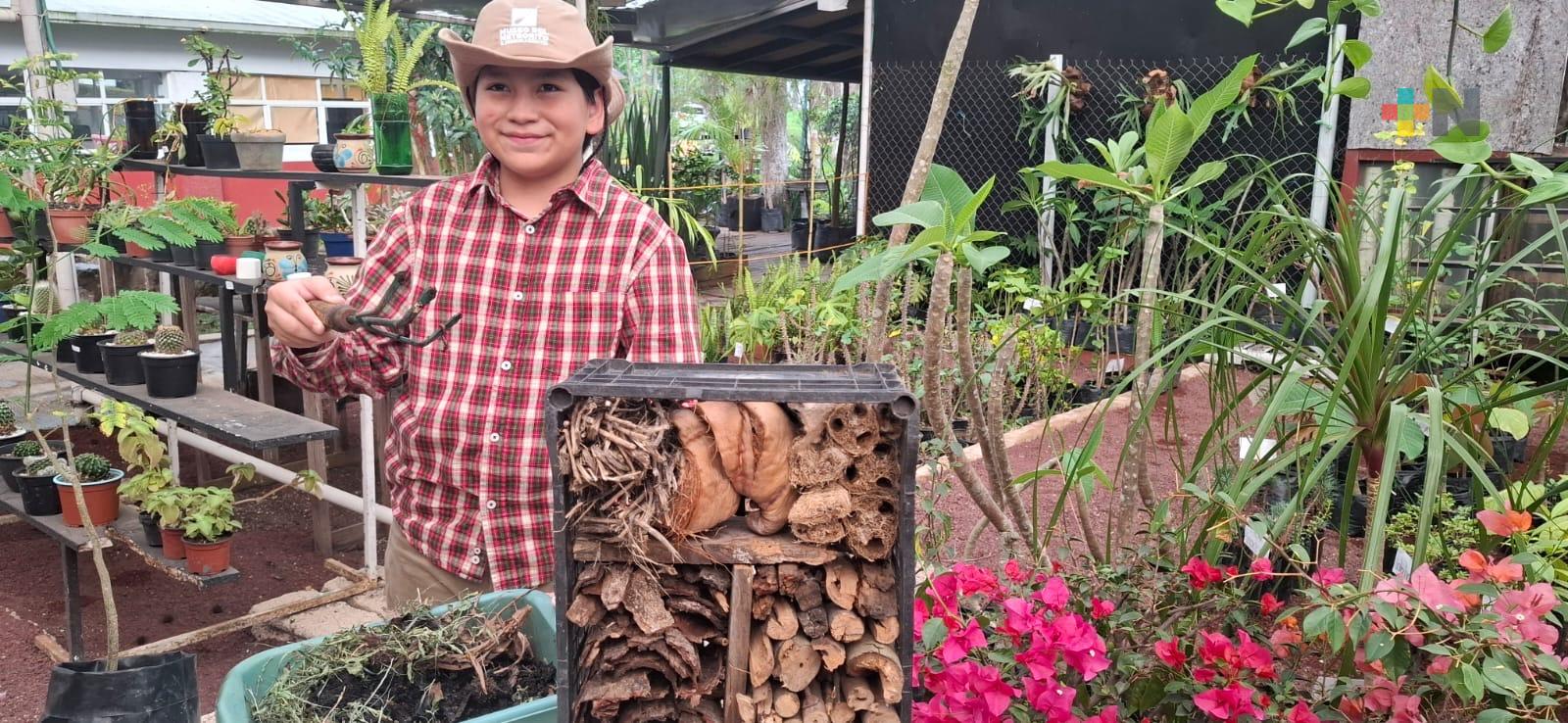 Niño ambientalista construye hotel de insectos y promueve el cuidado de la biodiversidad