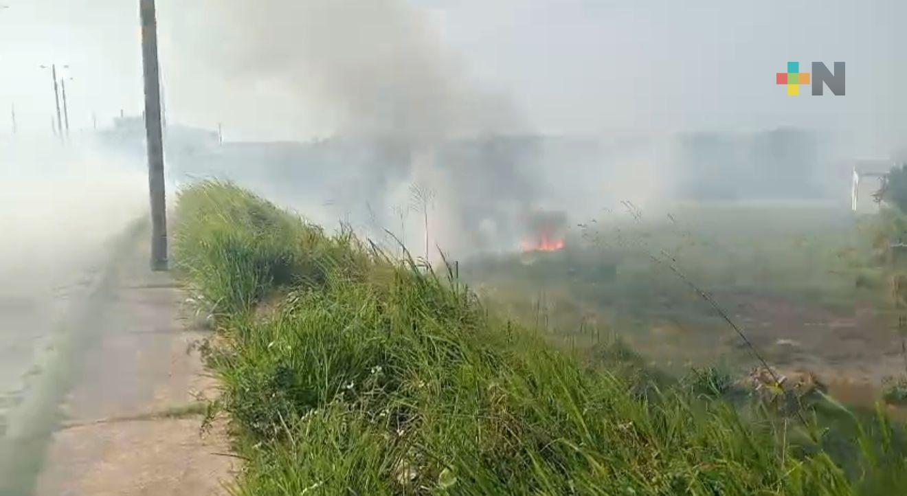 Coatzacoalcos enfrenta más de 80 incendios de pastizales en lo que va del año