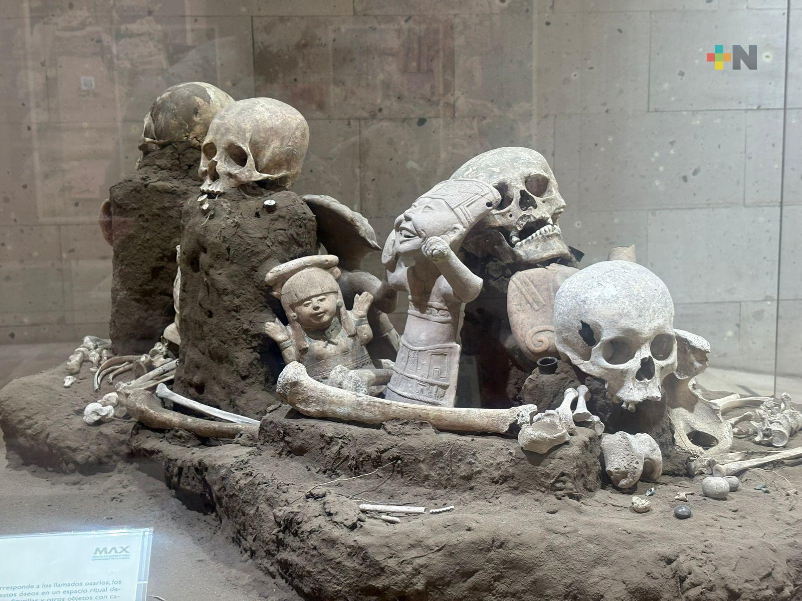 Antropólogos analizan osamenta de poblaciones antiguas de Veracruz