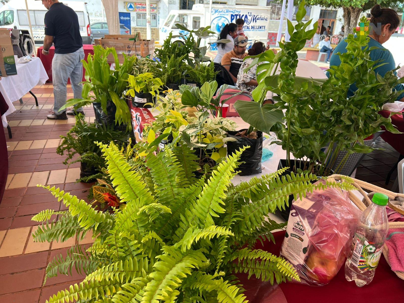 Mujeres emprendedoras impulsan creatividad y economía en Carlos A. Carrillo