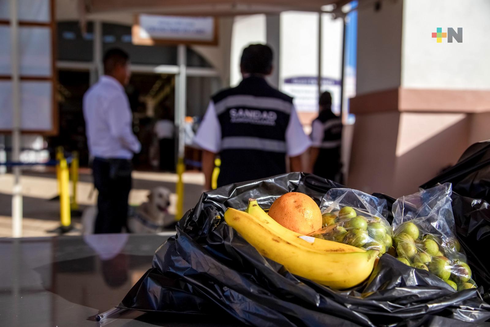 Frenan ingreso de más de 700 productos contaminados con plagas a México