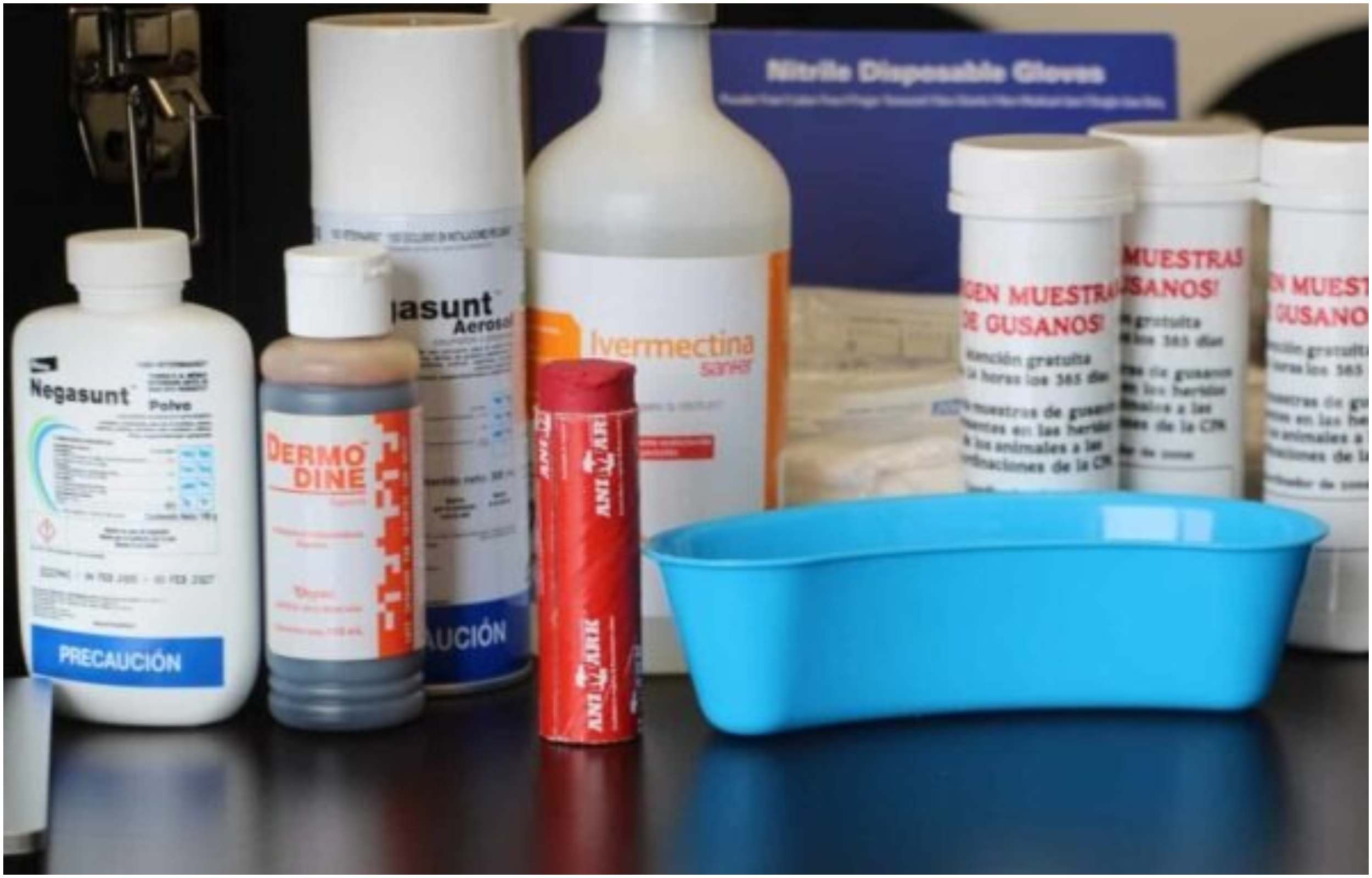 Senasica entrega kits gratuitos para la detección oportuna de miasis en animales