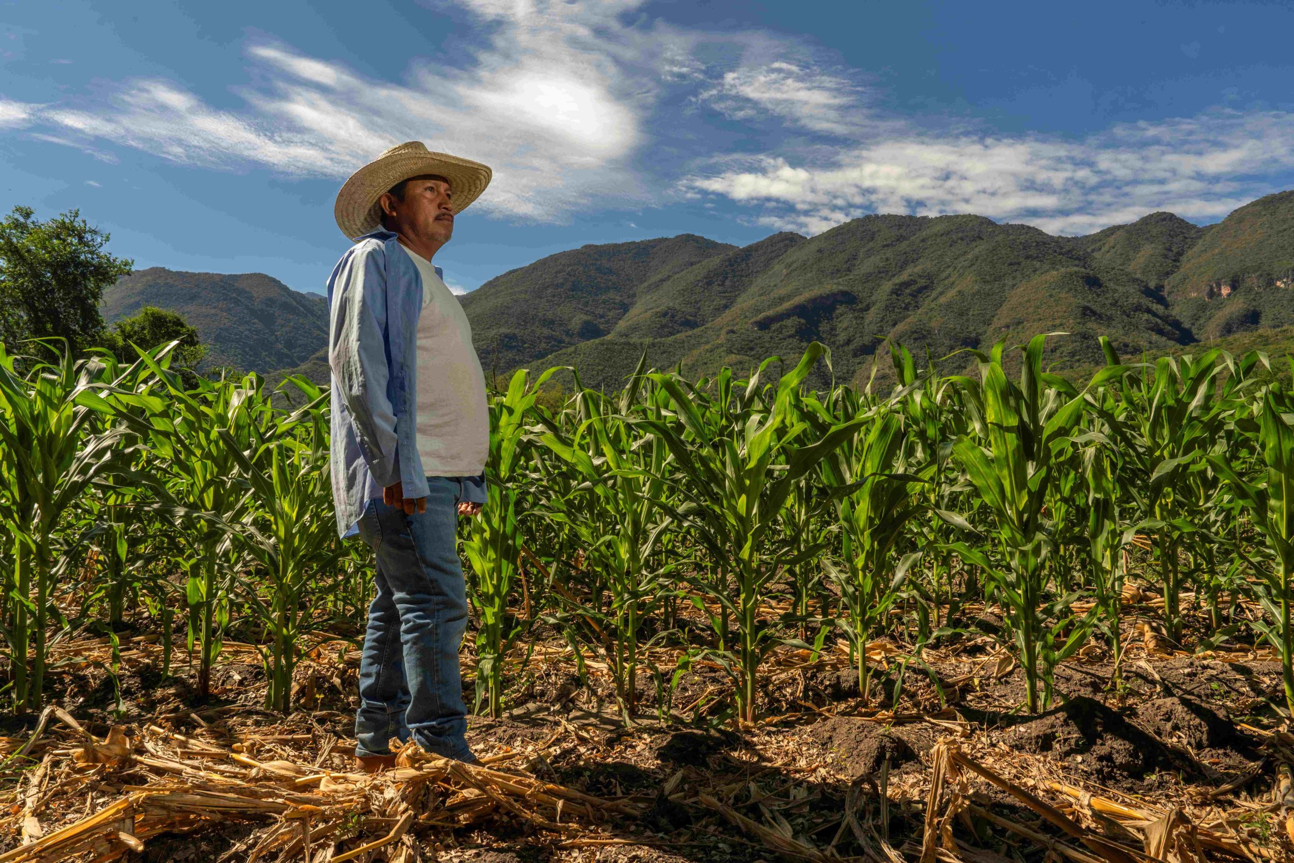 Día Internacional de la Oposición a los Alimentos Transgénicos