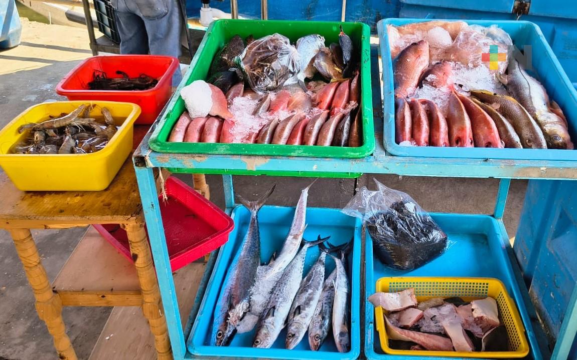 Es seguro consumir pescados y mariscos del Golfo de México