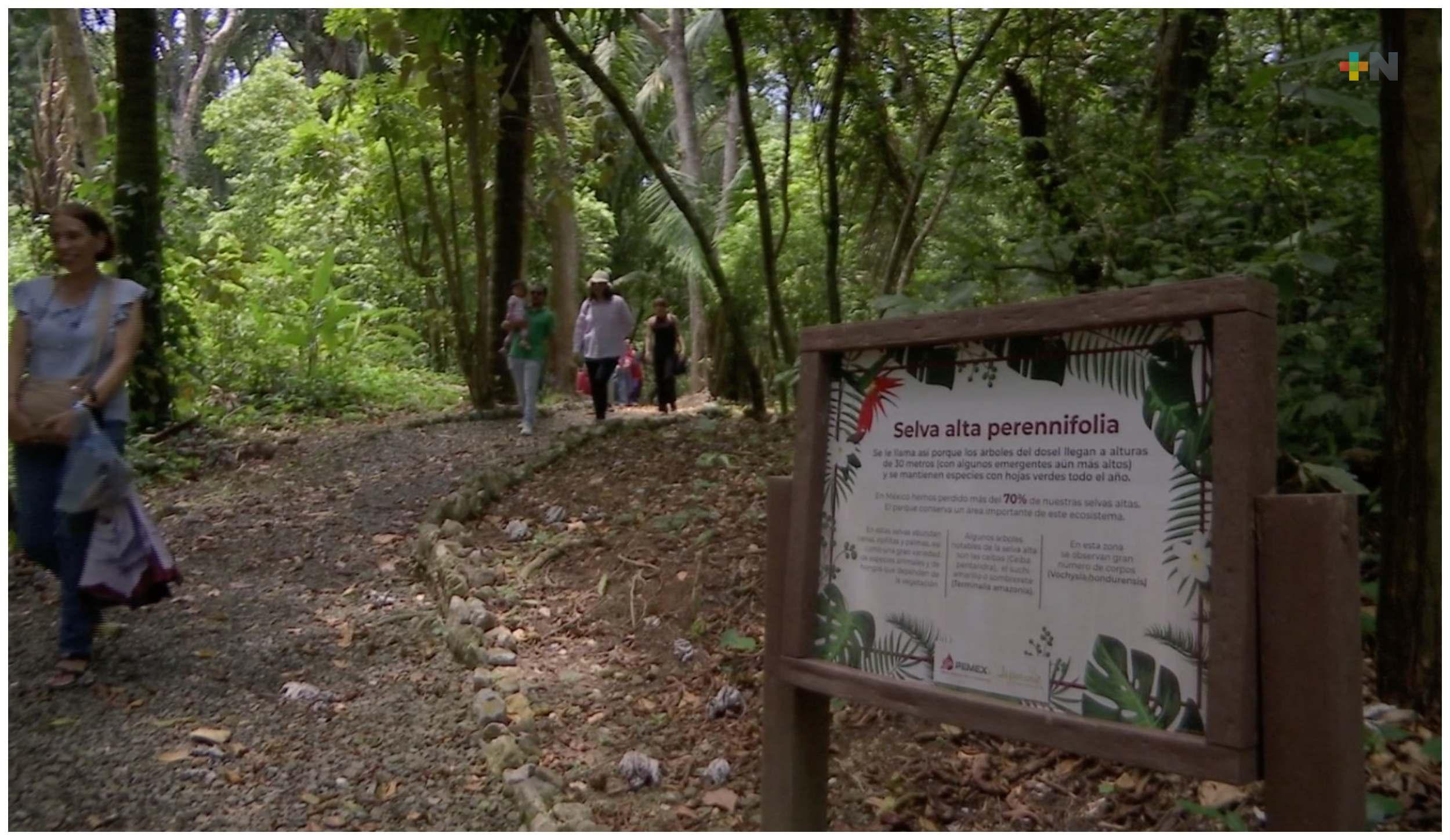 Parque Jaguaroundi espacio natural que resguarda vida única en el mundo