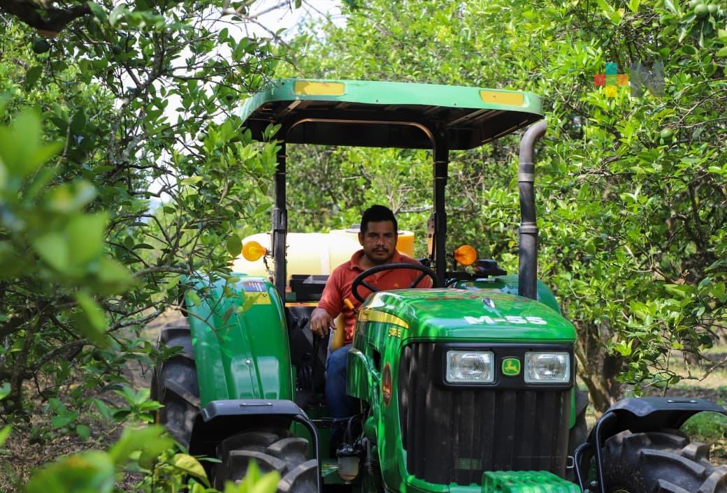 Sedarpa impulsa productividad en el campo con el Programa de Mecanización