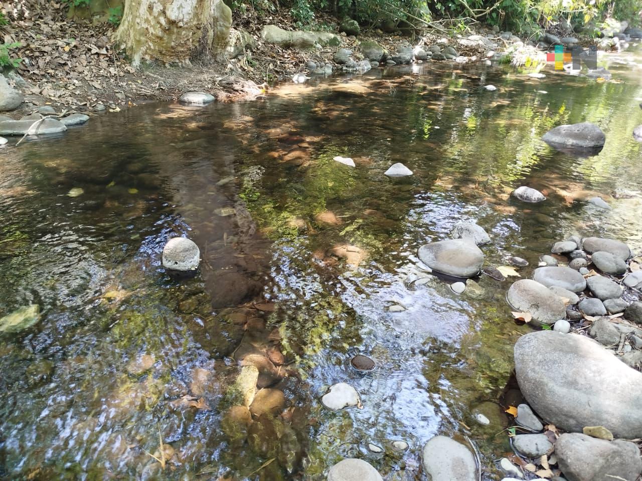 Ríos de Veracruz se mantienen a un nivel medio de su capacidad: Conagua