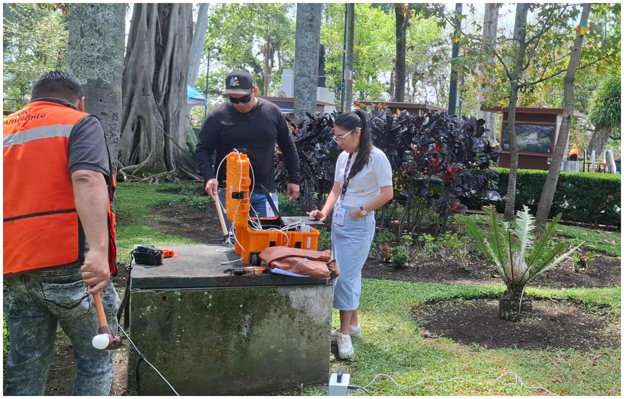 A través de tomografías se evalúa la salud de los árboles en zonas urbanas de Xalapa