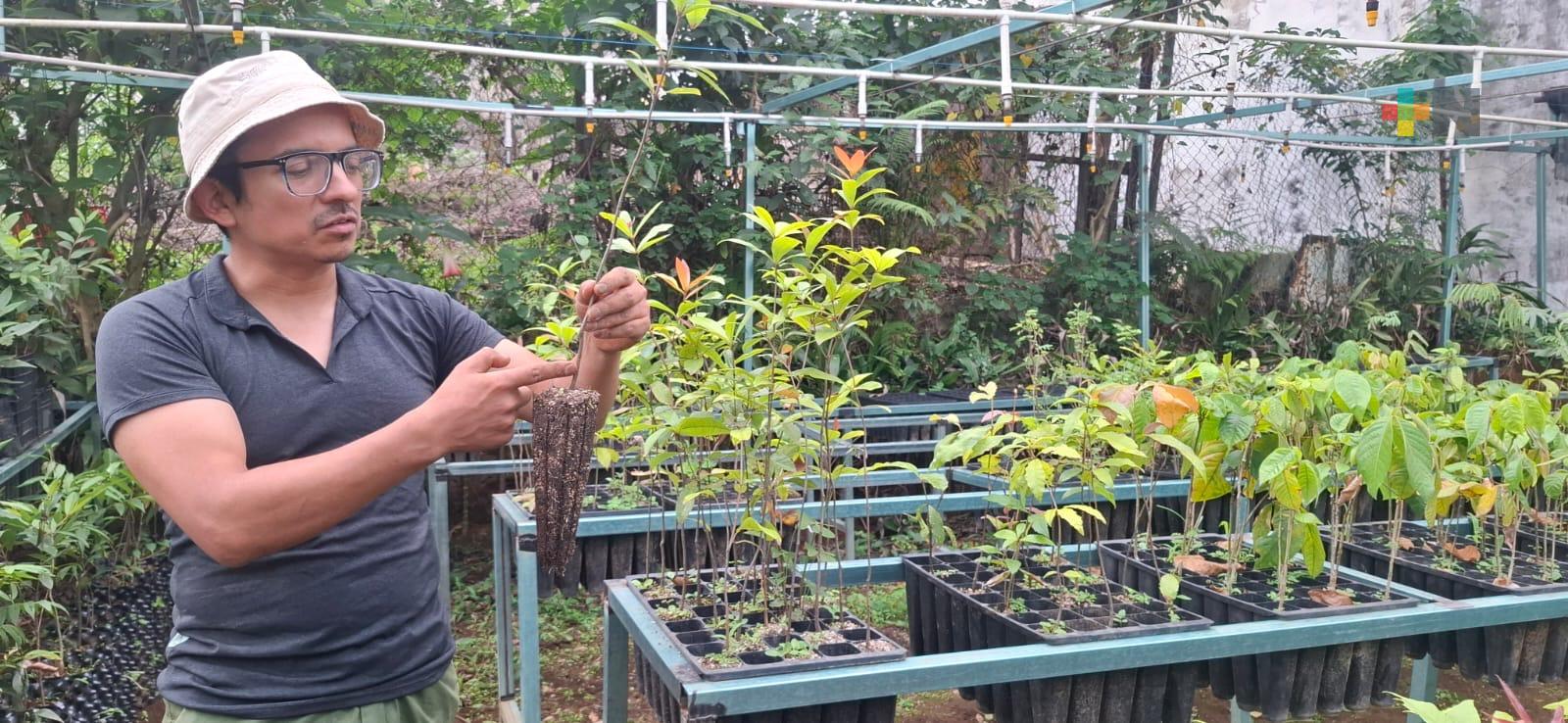 Conservación de abejas nativas en Rancho Viejo