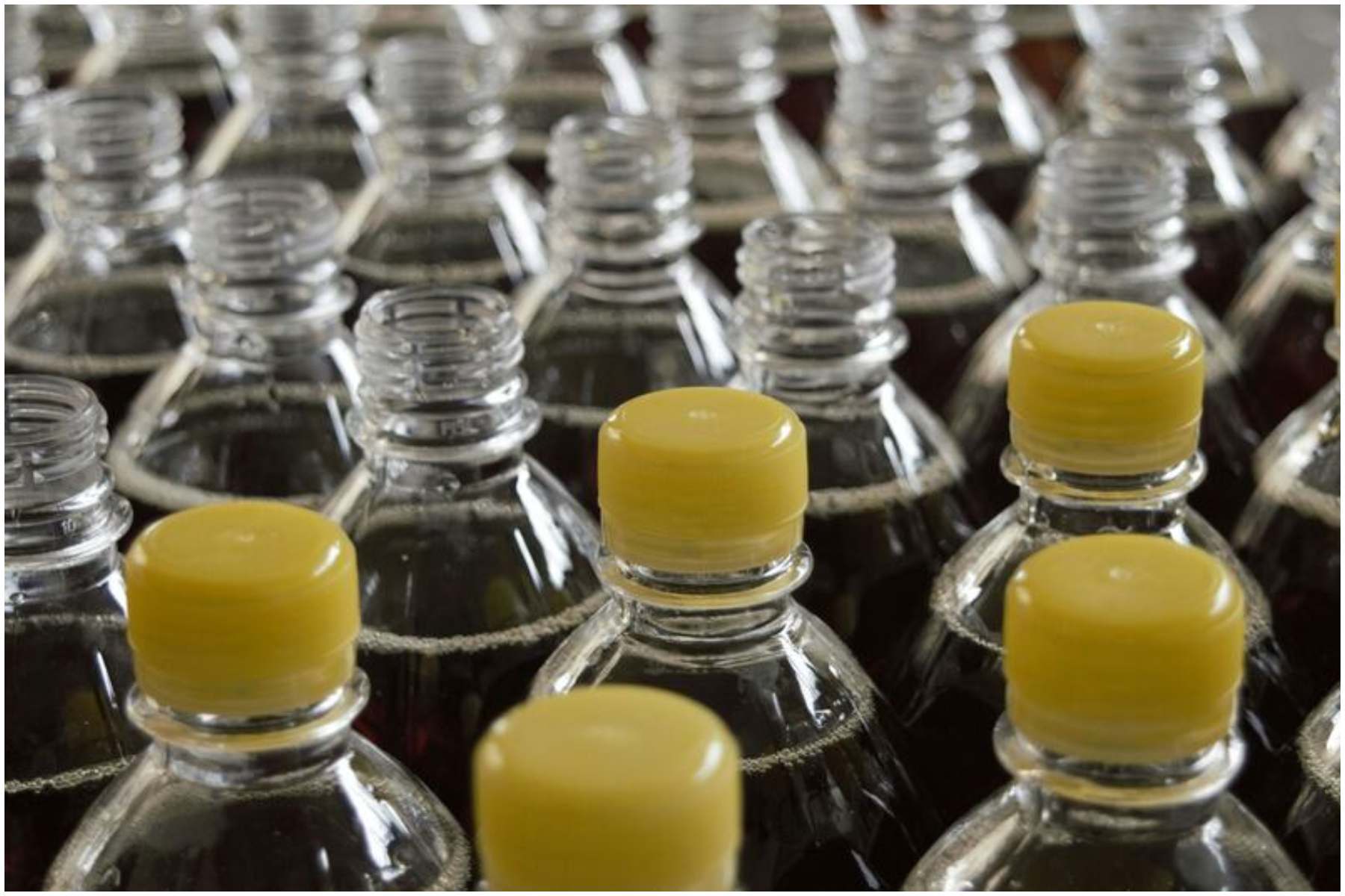 Advierten de los riesgos del plástico reciclado en envases de alimentos