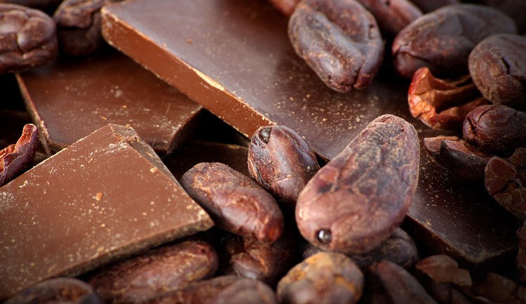 Cacao mexicano, el mejor ingrediente para el regalo de mamá
