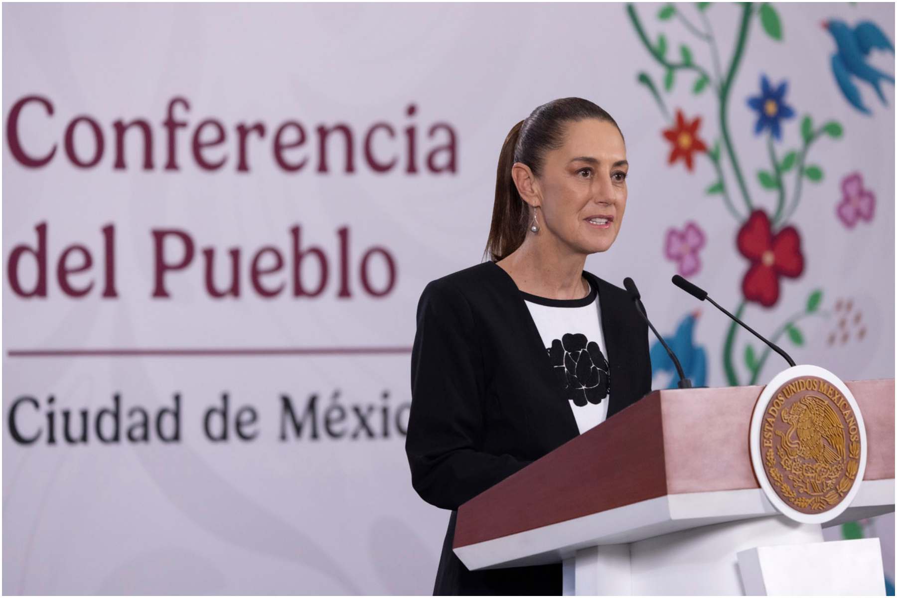 Consulados mexicanos protegen, no hacen política: presidenta