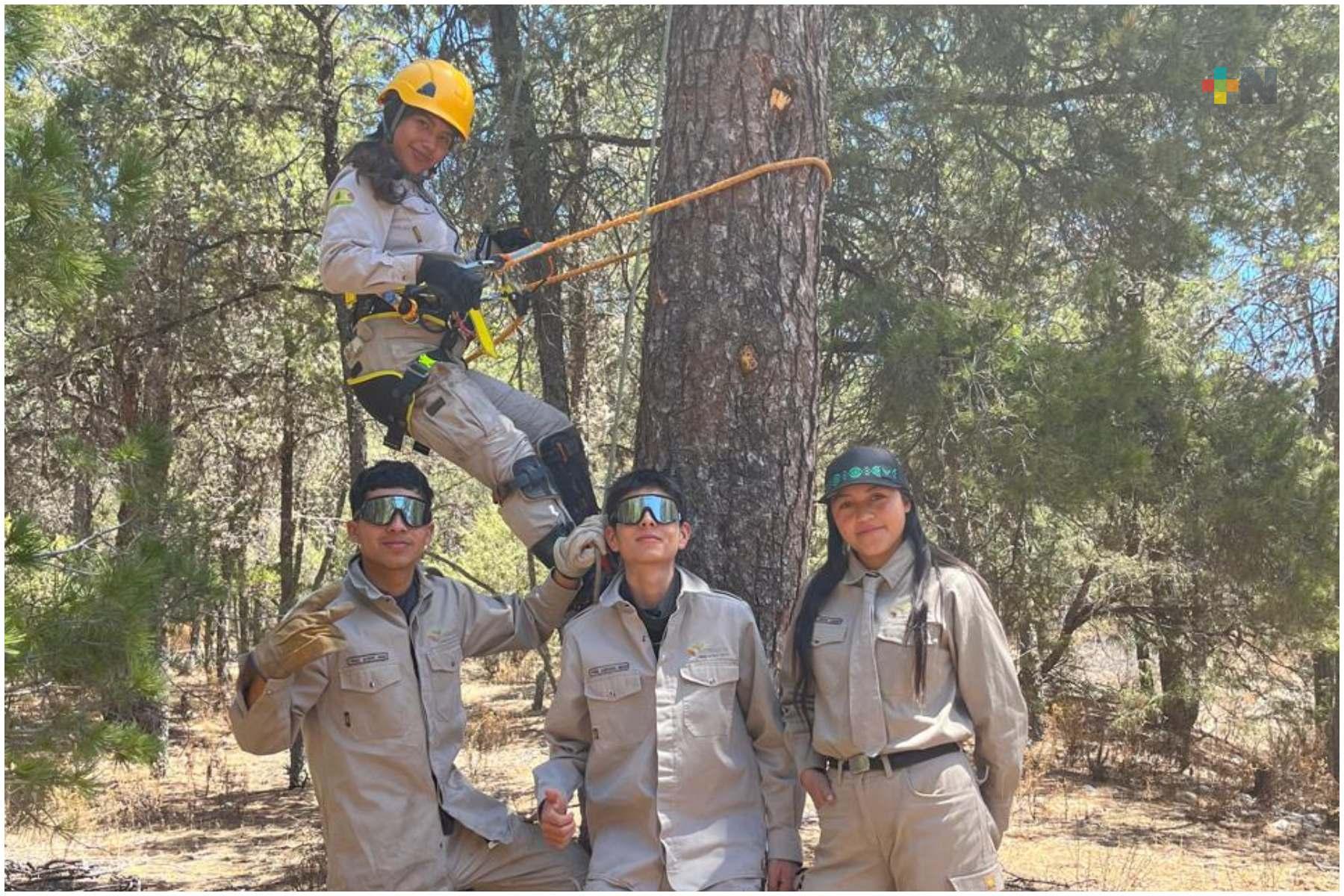 Conafor abre convocatoria para aspirantes a técnicos forestales en el ciclo 2026 – 2027