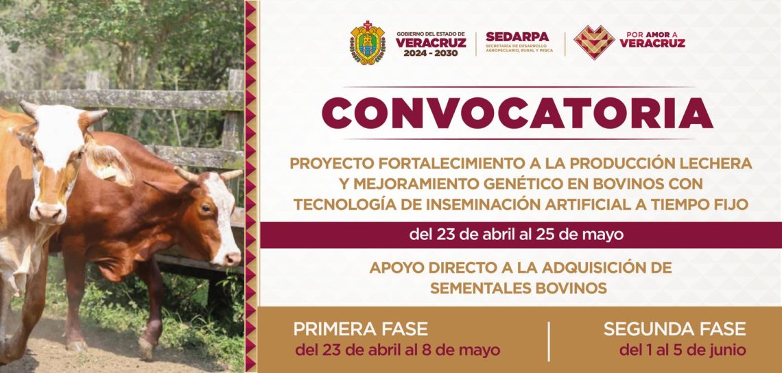 Sedarpa impulsa proyecto de fortalecimiento a la producción lechera y mejoramiento genético en bovinos