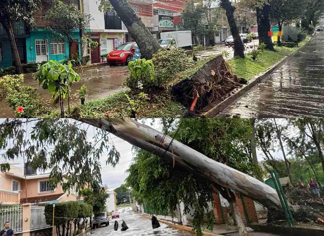 Microrráfaga sorprendió a Xalapa con tormenta y vientos destructivos