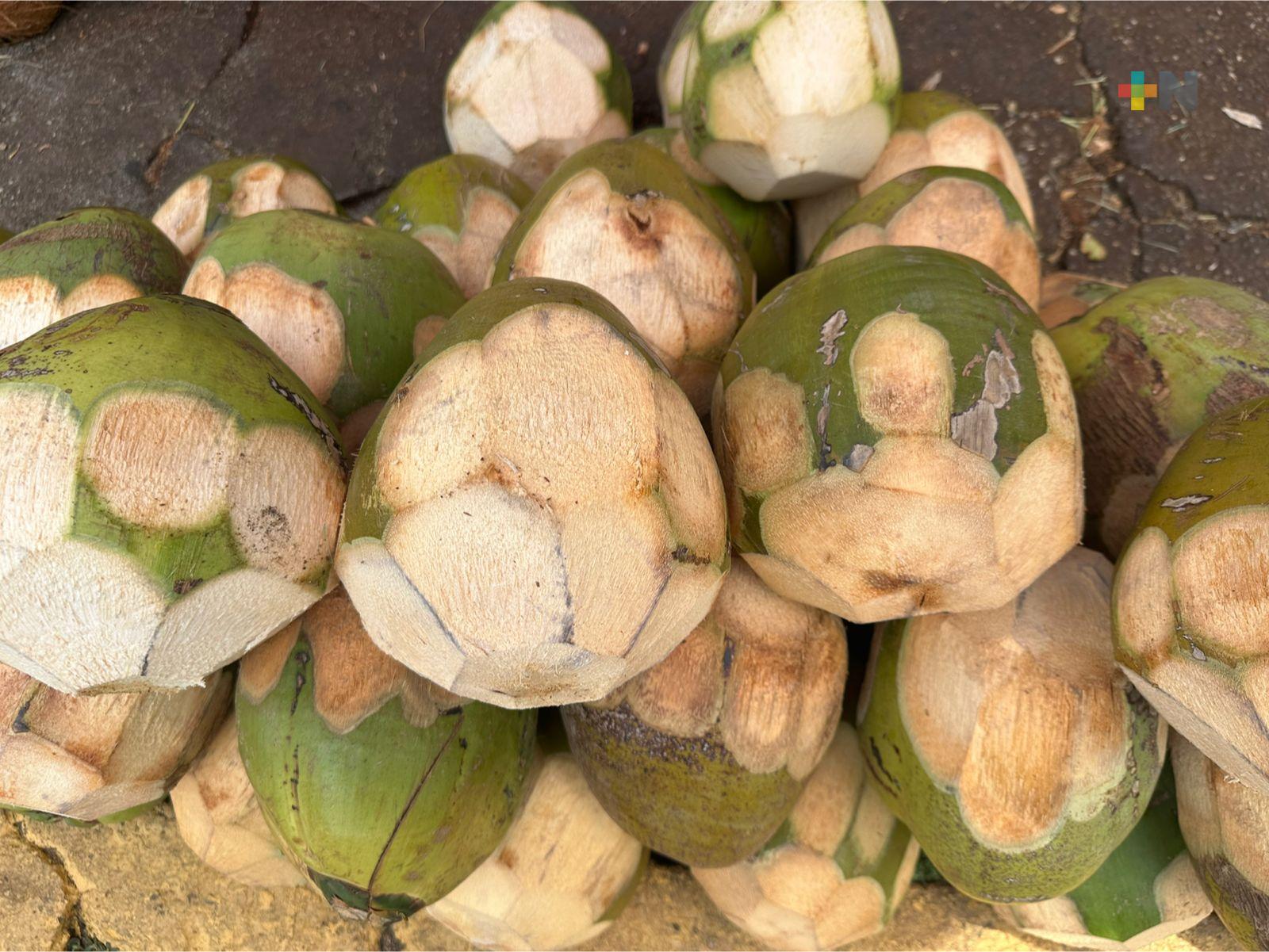 Repunta venta de cocos por altas temperaturas en Coatzacoalcos