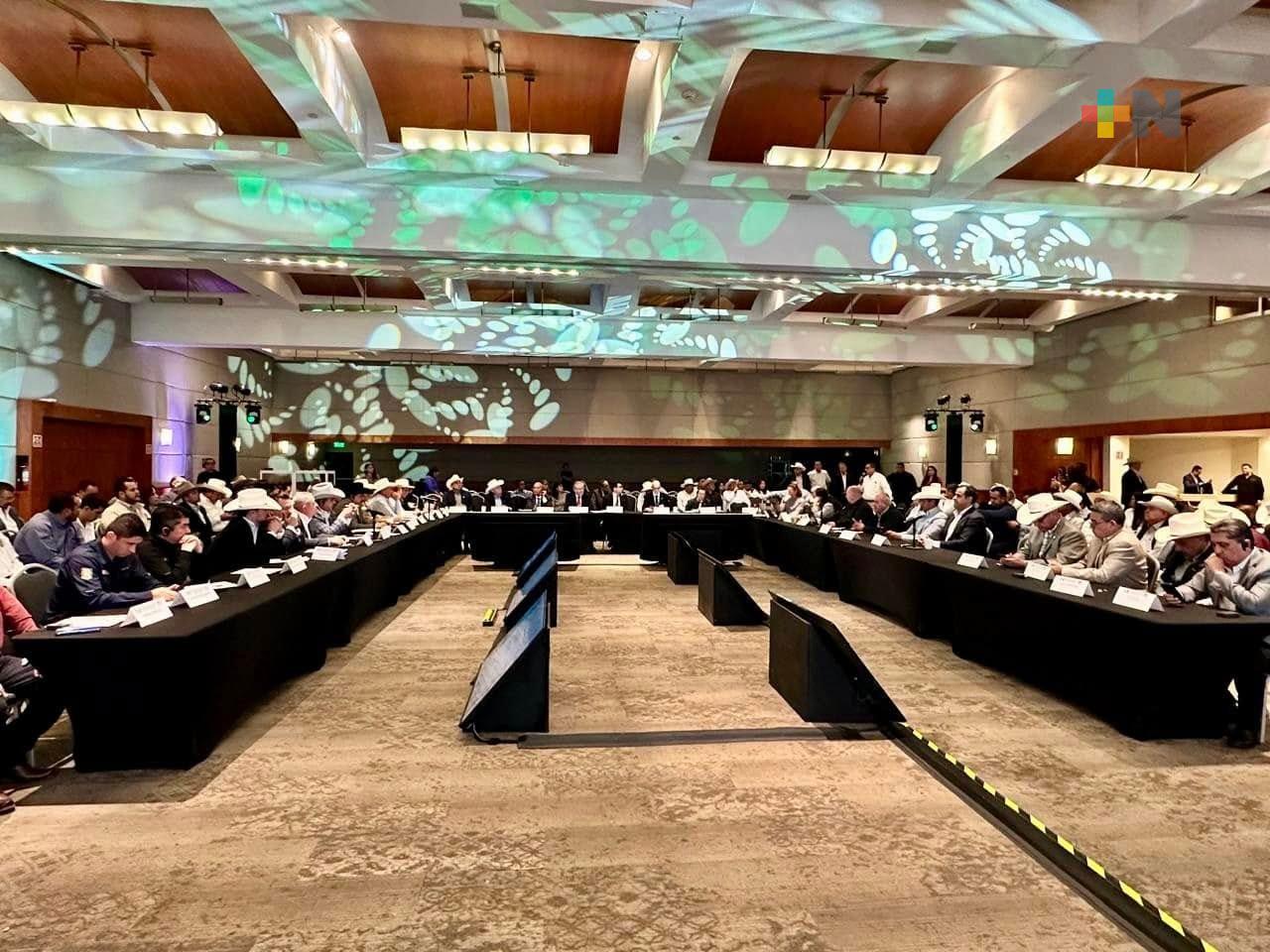 Se reúne el Comité binacional para la erradicación de enfermedades bovinas