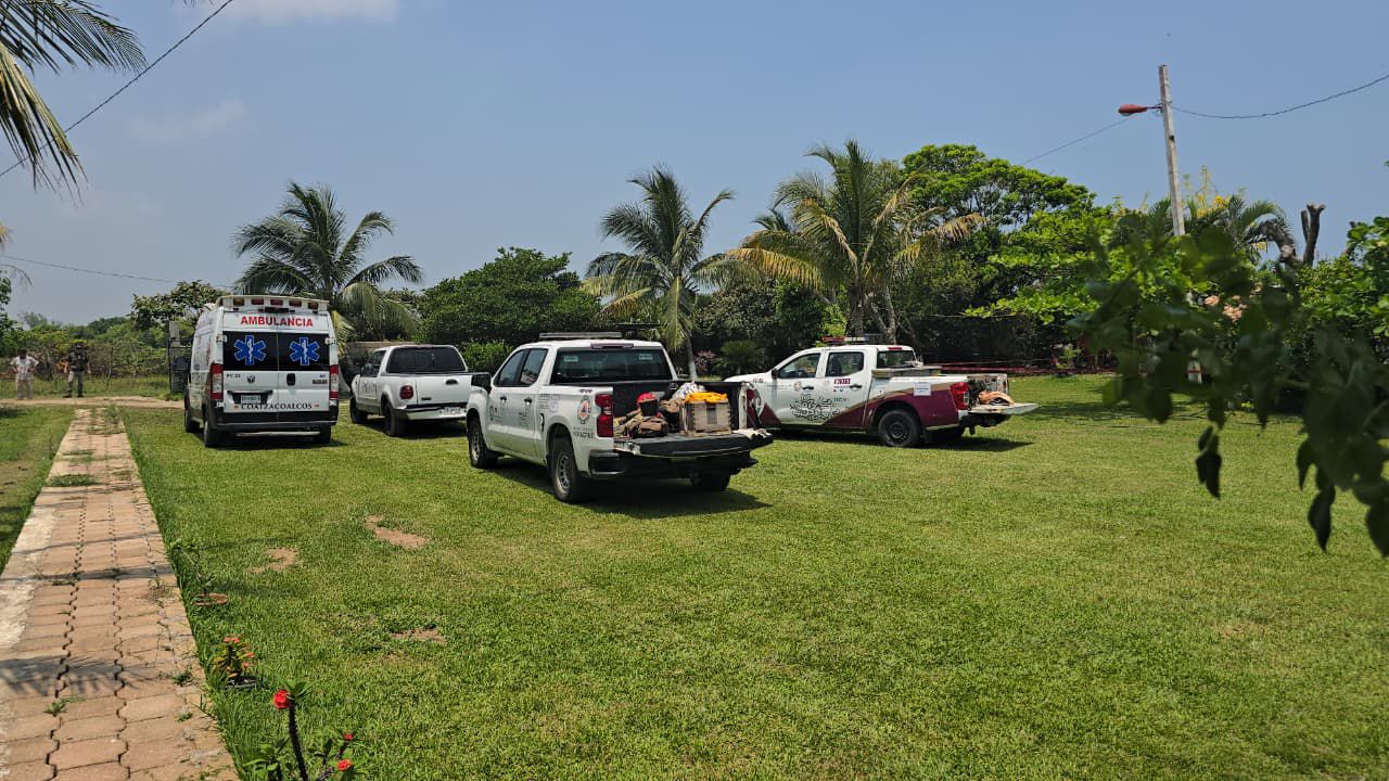 Abejas atacan a habitantes del Colorado en Coatza; cinco lesionados y un perro muerto