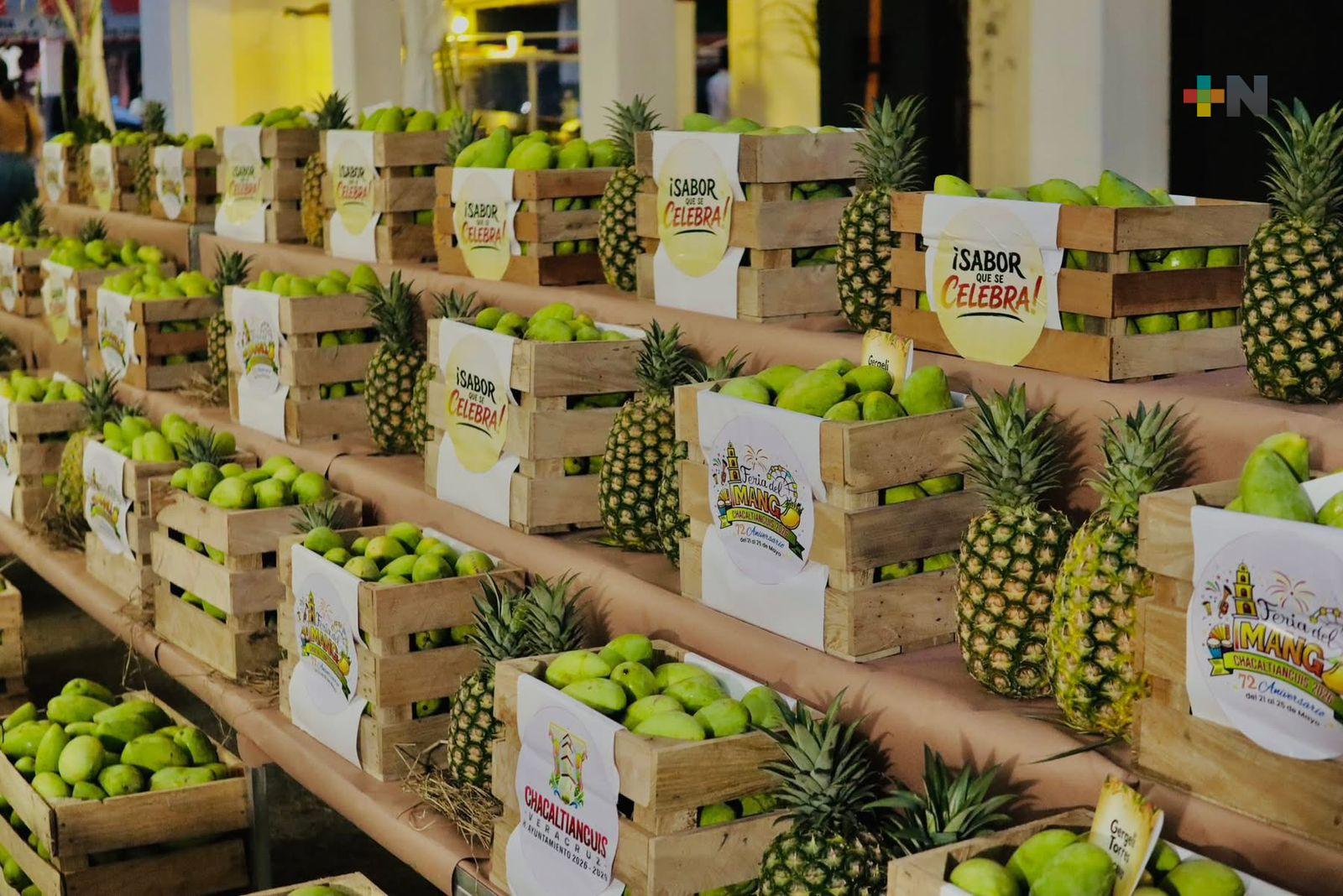Feria del Mango 2026 fortalece economía y turismo en Chacaltianguis.