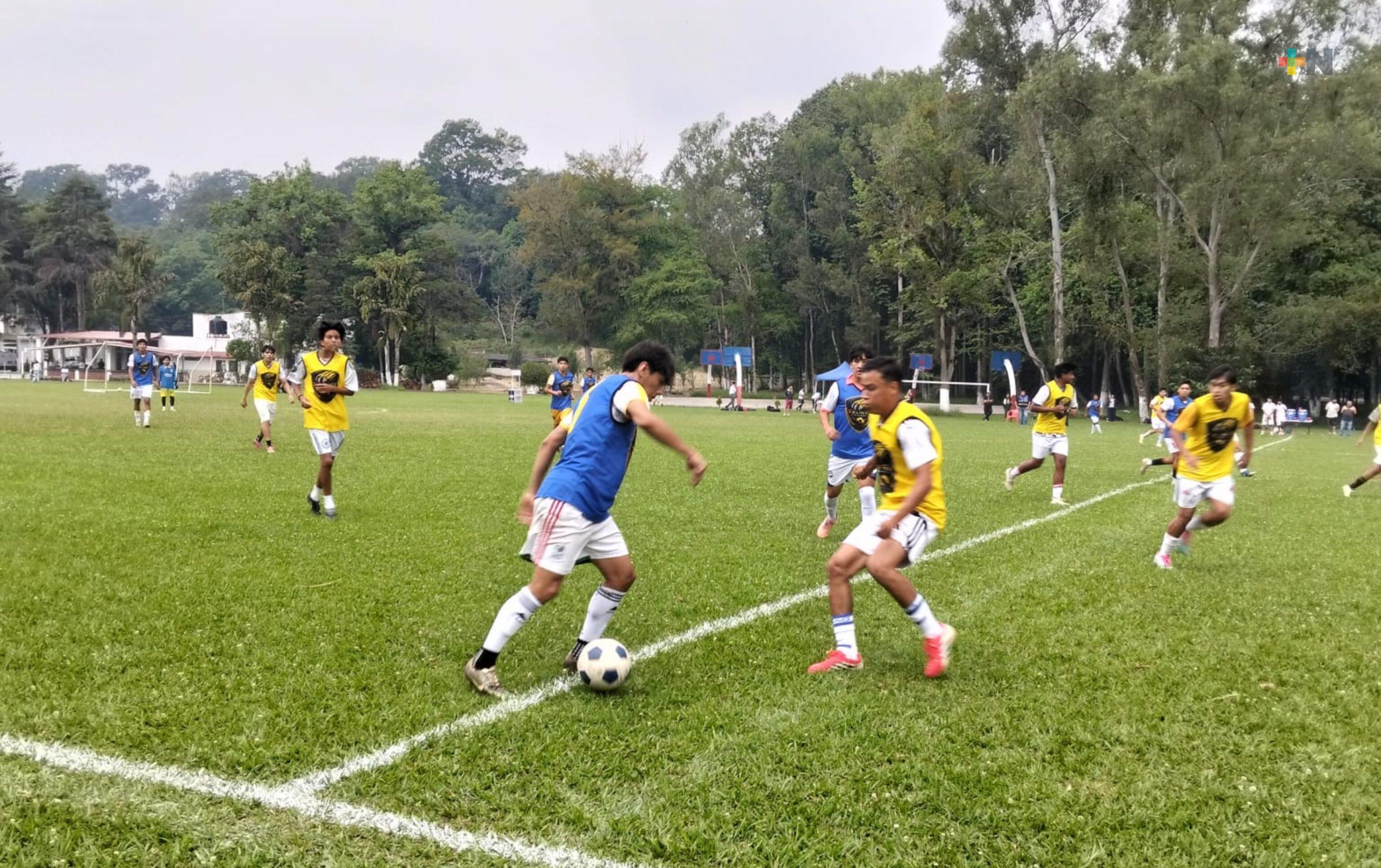 Felinos de Xalapa busca talento