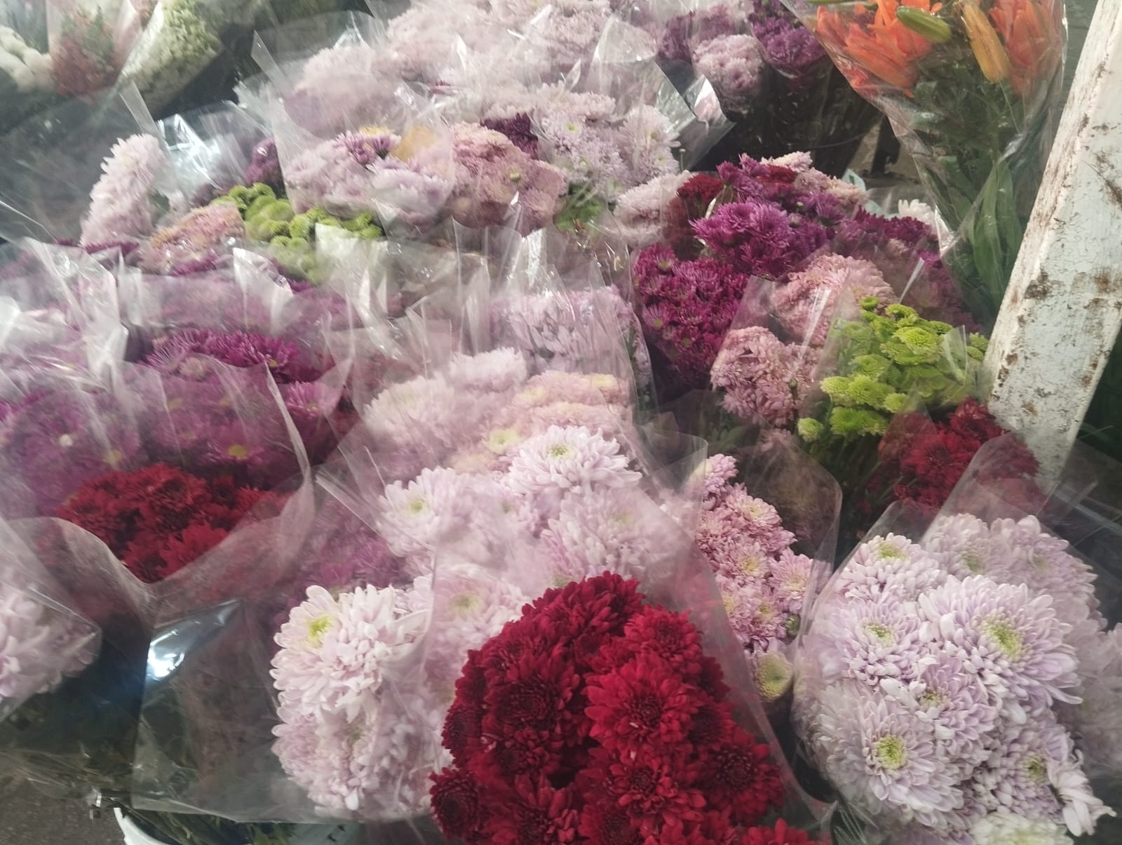 Comerciantes esperan aumento de 50% en venta de flores por el Día de las Madres en Veracruz