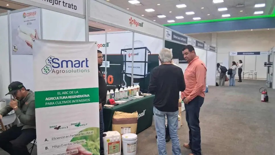 Gobierno Federal impulsa créditos accesibles para productores veracruzanos