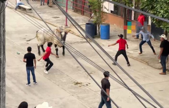 Gran suelta de Toros en Tuxtilla